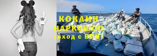 apvp Козельск