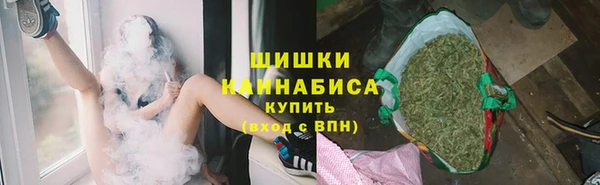 apvp Козельск