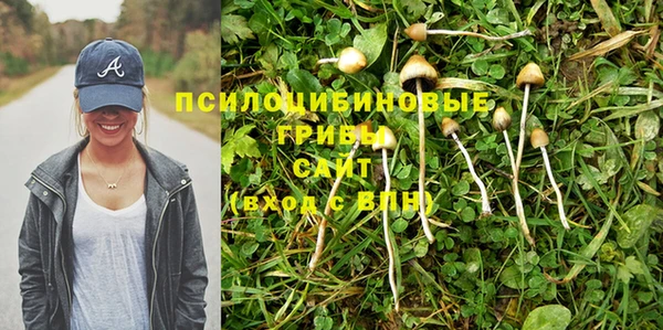 ALPHA PVP Козловка