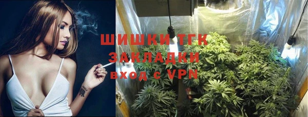 PSILOCYBIN Болхов
