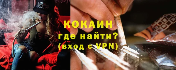 apvp Козельск
