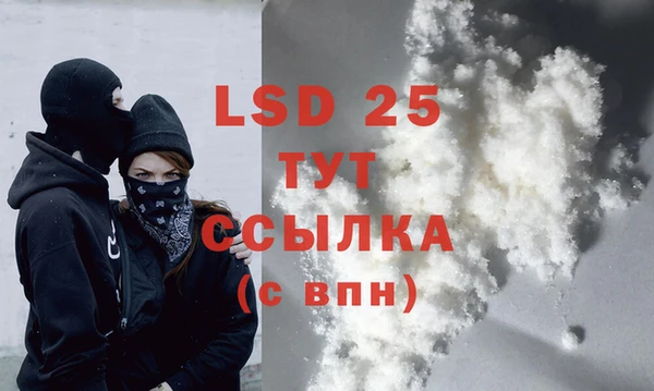 PSILOCYBIN Болхов